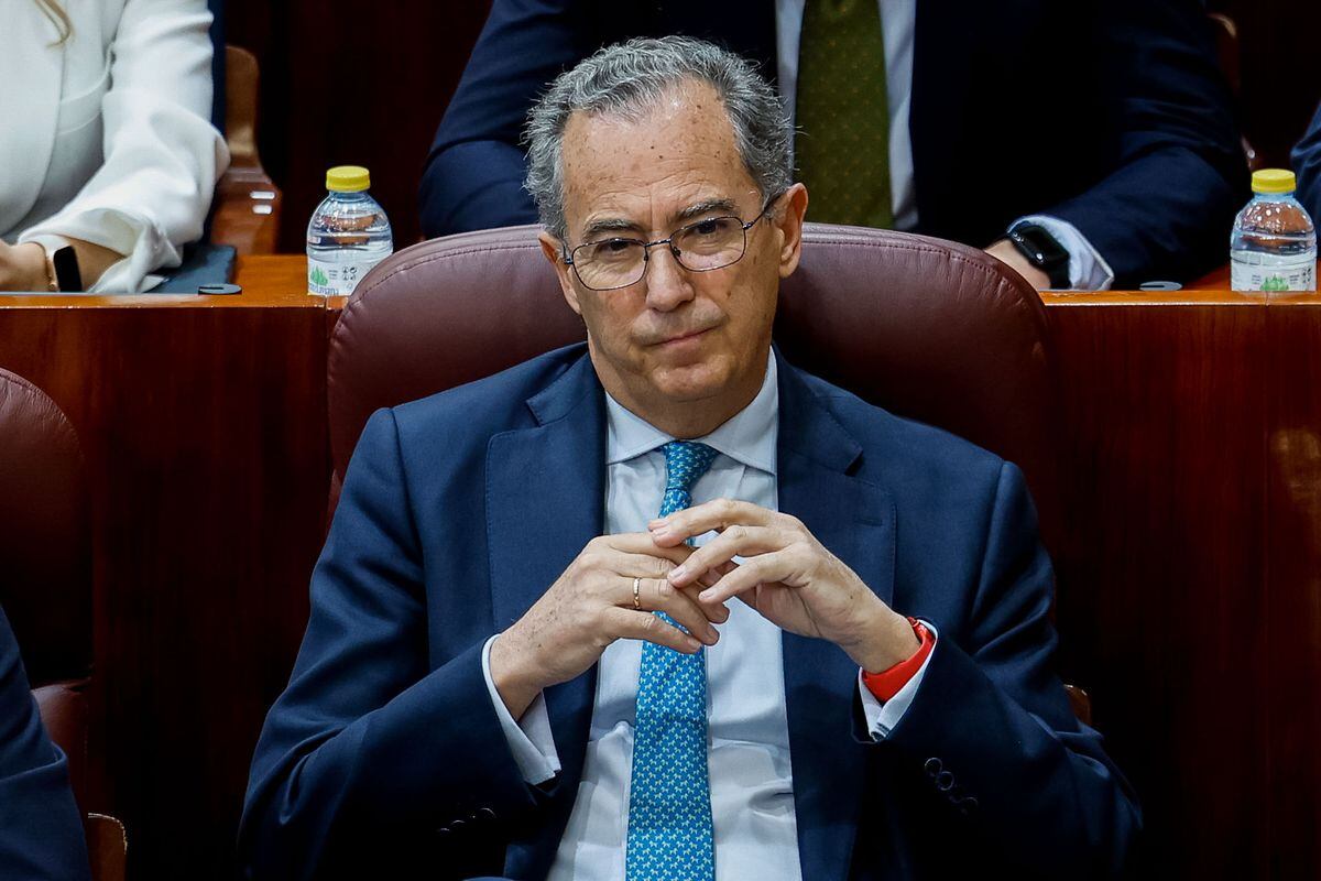 Ossorio, president of the Assembly, to the deputies of Más Madrid: “They are impossible, they live in a parallel world, shut up” |  Madrid News