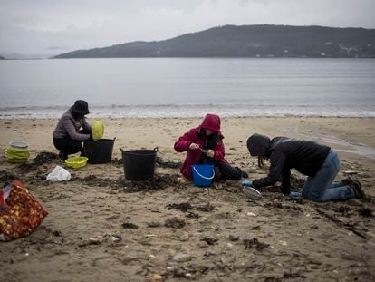 Varios voluntarios limpian los 'pellets' que llegan a la playa de Muros (A Coruña), este jueves.