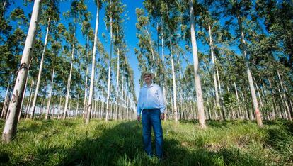 Juan Antonio Secchia recibió 600 hectáreas de tierra de su abuelo en Caazapá, un departamento ubicado en la región oriental de Paraguay.
