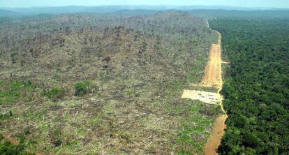 Vista a&eacute;rea de una zona deforestada por los agricultores, en la Amazonia, en Terra do Meio, Par&aacute; ( Brasil).  