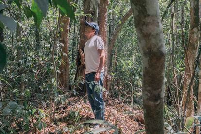 Alfonso Tamay Caamal, habitante del ejido 20 de Noviembre, acompaña a los arqueólogos para ayudarles en los trabajos de exploración desde hace nueve años.