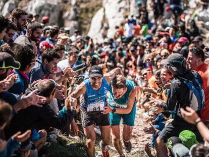 Kilian Jornet gana la durísima maratón de montaña de Zegama por novena vez en sus diez participaciones