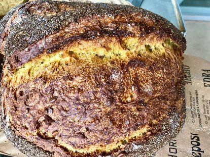 HOGAZA DE CÚRCUMA Y PIPAS DE GIRASOL CON SEMILLAS DE CHÍA / CAPEL