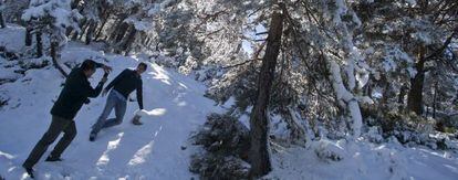 Nieve en la sierra de Madrid.