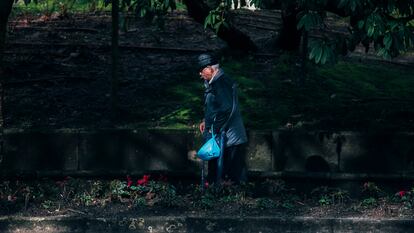 Un hombre, en la alameda de Santiago de Compostela.