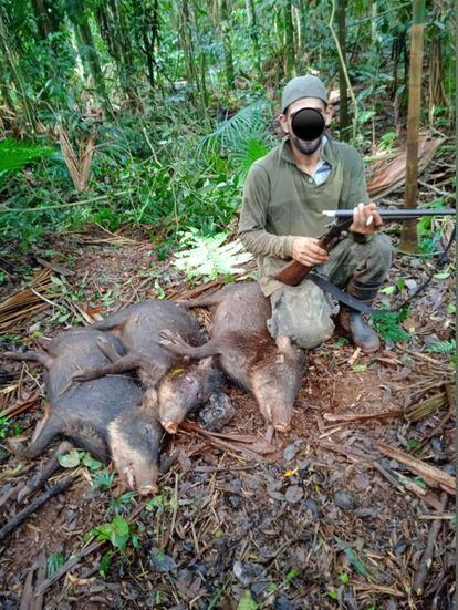 Un cazador furtivo posa para una foto con tres pecaríes muertos.