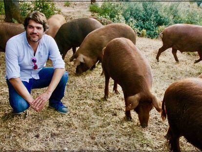 Pepe Simón, con los cerdos rubio dorado.