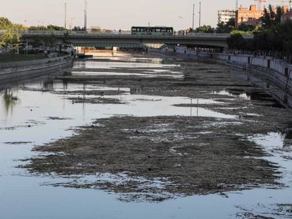 Tramo del río Manzanares que se está volviendo a embalsar.