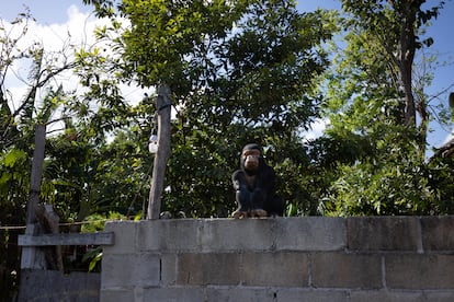 El municipio de Tulum carece de un Plan de Desarrollo Urbano, y las inmobiliarias ofrecen terrenos para construcciones 'ecológicas' o sin estudios de impactos a la zona.