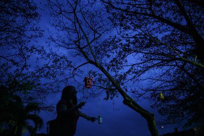 Una mujer malaya pasa delante de un árbol decorado con linternas en el interior del templo Jenjarom para celebrar el Año Nuevo Lunar, a las afueras de Kuala Lumpur.