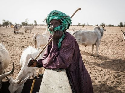 Un pastor vigila su ganado mientras bebe de un pozo en el pueblo de Mbetiou Peulh, Senegal.