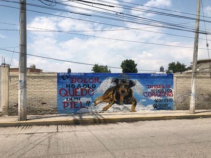 Mural en recuerdo de 'Scooby', el perro que fue arrojado a un cazo de aceite hirviendo.