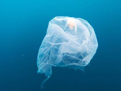 Una bolsa de pl&aacute;stico flota en las aguas de Gorontalo, Indonesia.&nbsp;