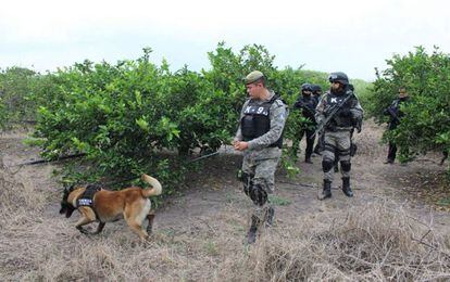 La polic&iacute;a busca cuerpos en Veracruz en enero de este a&ntilde;o. 