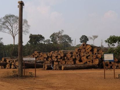 Una pila de troncos en una empresa maderera en el bosque nacional de Jacunda, en la Amazonia brasileña, a finales de agosto.