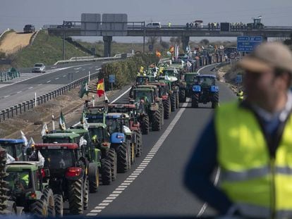 Protesta de agricultores en Carmona (Sevilla), el pasado febrero.