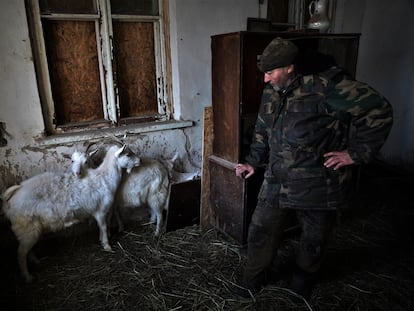 Volodímir, de 51 años, junto a algunas de las cabras con las que convive en su casa de Petropavlivka, el 15 de marzo.