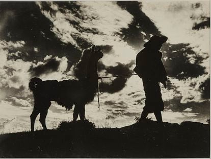 'El indio y su llama' (1923). Colección Jan Mulder.