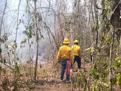 Brigadas comunitarias luchan para sofocar el incendio en la Reserva de la Biosfera de Calakmul, en Campeche, el 25 de abril de 2022.
