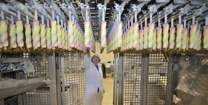 Inspecci&oacute;n de los polos preparados en la f&aacute;brica de Froneri en Araia (&Aacute;lava).