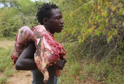 Un cazador hadza vuelve al campamento con el puercoespín que han cazado al hombro.