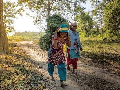 Dos mujeres recogen hierba en los límites de la comunidad forestal de Kumore (Nepal). 