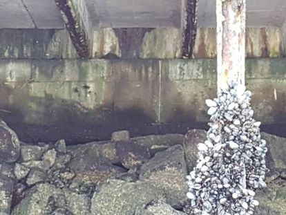 Estado ruinoso del muelle que sostiene el paseo marítimo de Vigo a la altura de la estatua homenaje a Julio Verne, en el extremo contrario al tramo que se desplomó.