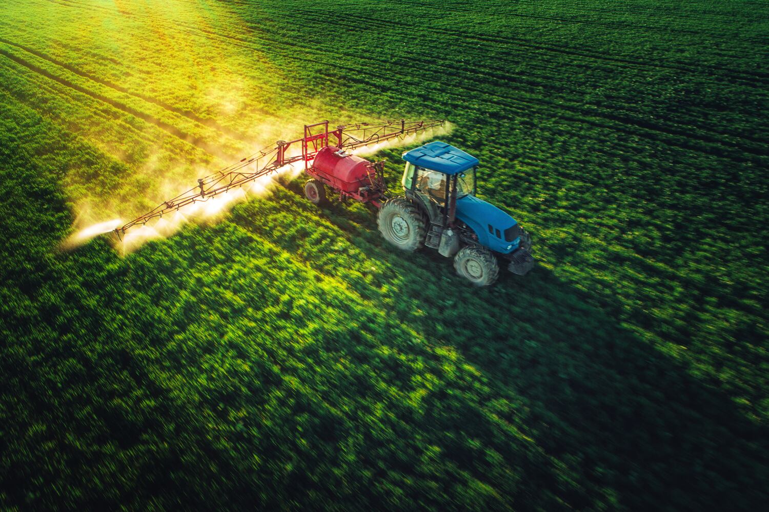 Sanidad vegetal: un recurso clave para avanzar hacia una agricultura de calidad, productiva y respetuosa con el medio ambiente