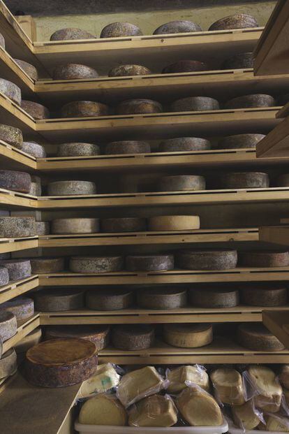 La cava de queso Tolmin del restaurante Hisa Franko.