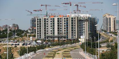 Varias edificios en construcción en el Parque forestal de Valdebebas.