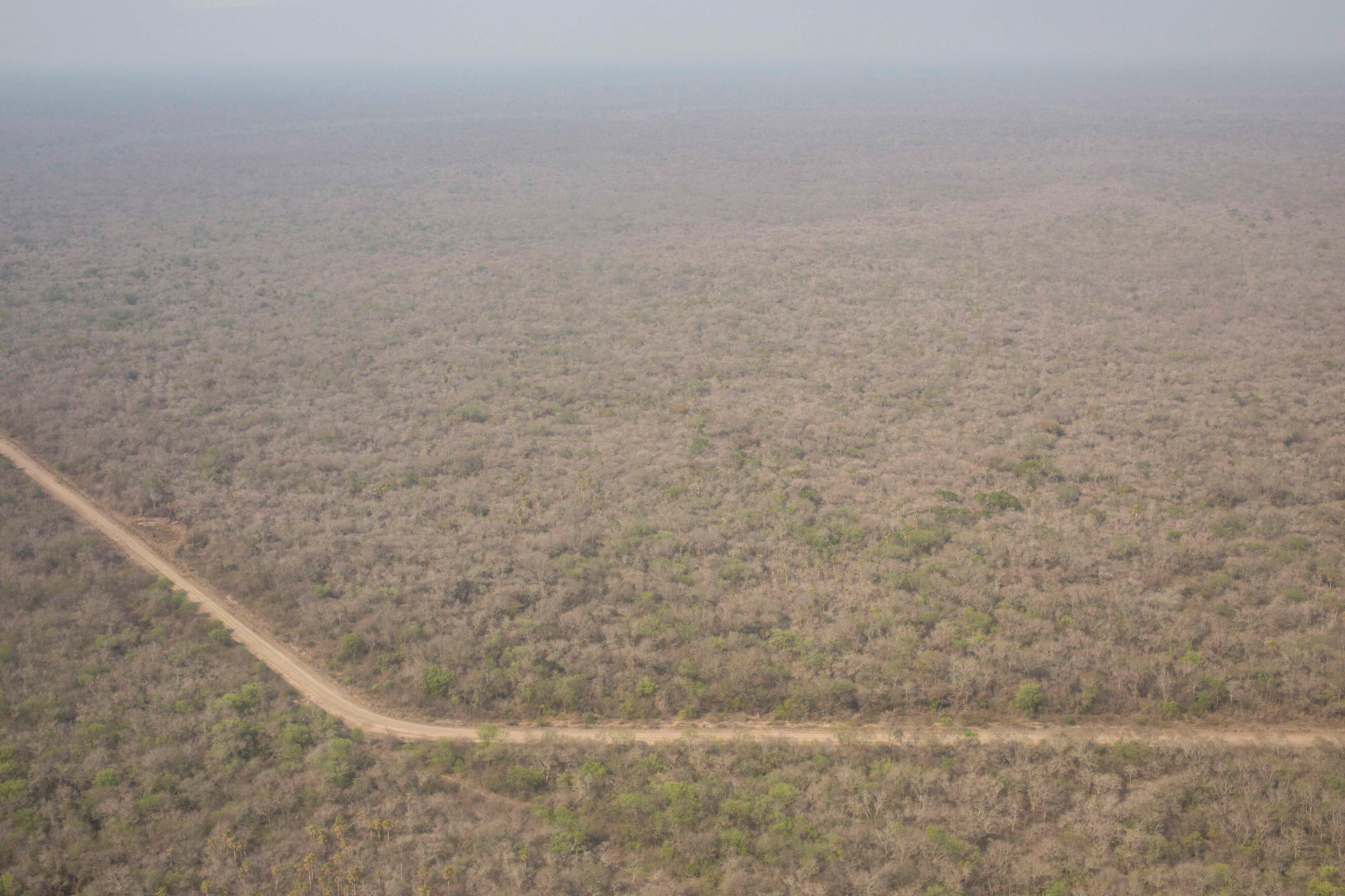 Vista aérea de bosques del Chaco paraguayo. 
