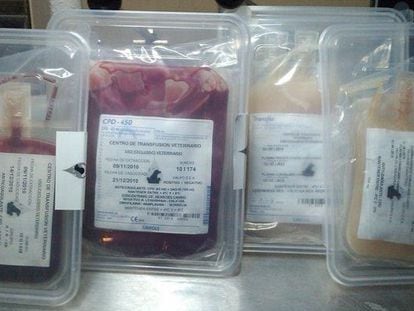 Algunas bolsas con sangre de los animales del centro de transfusión investigado.