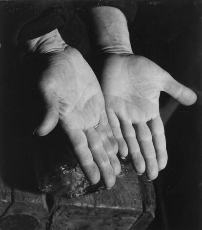 Las manos de Pablo Picasso, retratadas por el fotoperiodista francés Nick de Morgoli (1916-2000) en 1947.