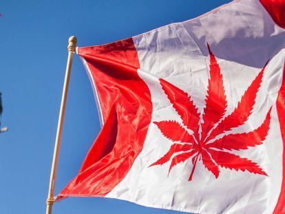 La bandera de Canadá con un logotipo de marihuana en Ottawa.