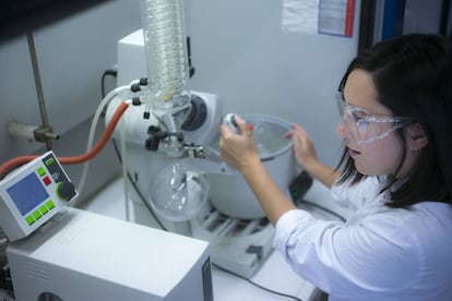 Una investigadora de la Universidad Pública de Navarra trabaja en su laboratorio.
