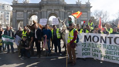 Agricultores del sector del olivo se manifiestan con varios burros por la Puerta de Alcalá, a 6 de marzo de 2024, en Madrid.