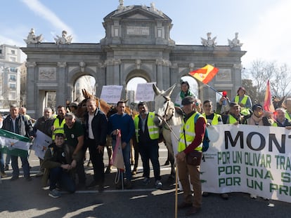 Agricultores se manifiestan con varios mulos por la Puerta de Alcalá este miércoles en Madrid