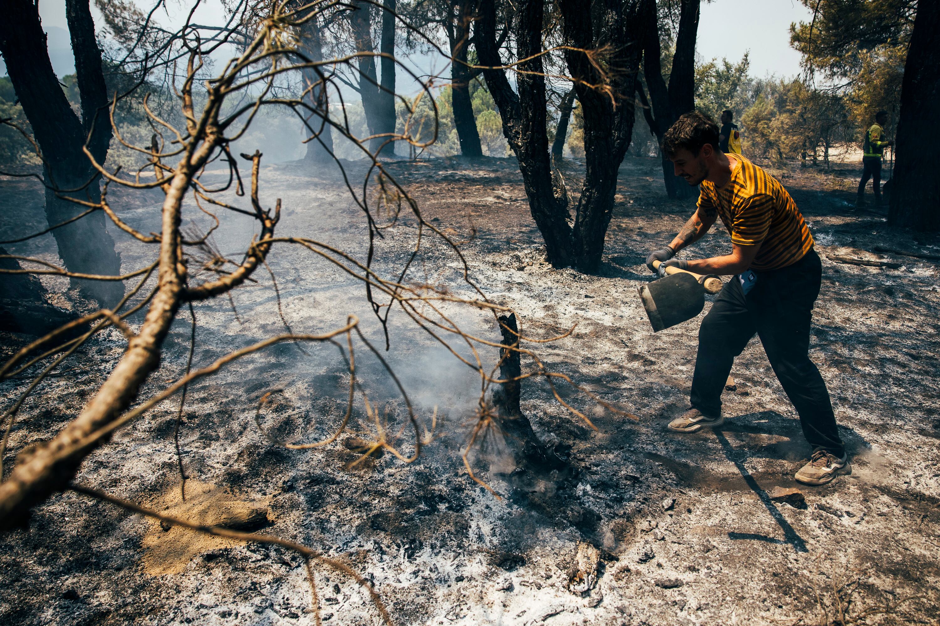 Última hora de los incendios forestales en España, en directo | Los trabajos en la sierra oeste de Madrid se centran en el entorno del río Cofio, uno de los puntos críticos