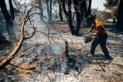 Última hora de los incendios forestales, en directo | Los trabajos en la sierra oeste de Madrid se centran en el entorno del río Cofio, uno de los puntos críticos