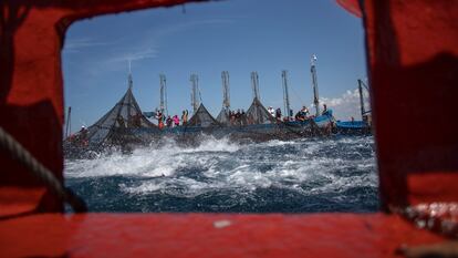 Pesca de atún en la almadraba de Barbate, en Cádiz, el año pasado.