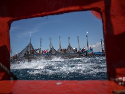 Pesca de atún en la almadraba de Barbate, en Cádiz, el año pasado.