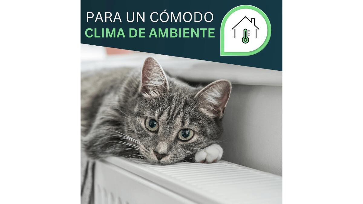 El kit de mantenimiento incluye de regalo una llave metálica para purgar el aire de los radiadores.