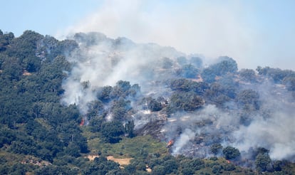 Labores de extinción del incendio de Jarilla, este viernes.