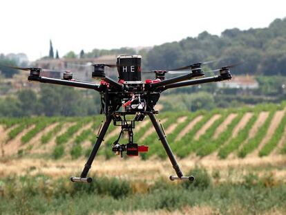 Un dron recoge datos de los vi&ntilde;edos