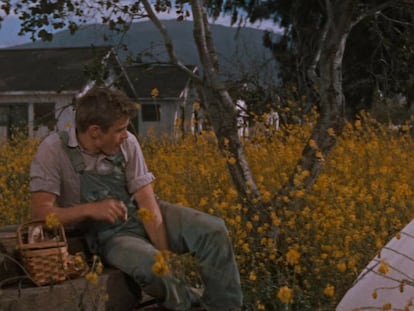 James Dean, como Cal Trasken en 'Al este del Edén' (1955), el filme de Elia Kazan que adaptó la novela homónima de John Steinbeck.