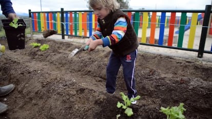 Un alumno siembra lechugas ayer en la plantación reconstruida.