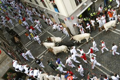 La manada de los Miuras y los cabestros en un momento del recorrido del último encierro de Pamplona.