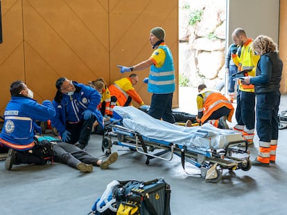 Las emergencias sanitarias de España, Francia y Andorra, durante la simulación.