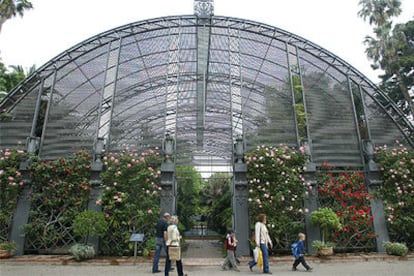 El jardín botánico de Valencia, cercano al cauce del Turia, es el más antiguo de la ciudad (1802).