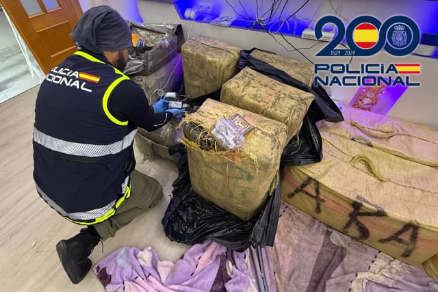 Hachís, marihuana, cocaína y armas de guerra: cae un grupo de narcos que intentó disparar a la policía en El Ejido